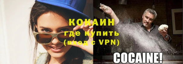 молекула духа Елизово