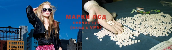молекула духа Елизово