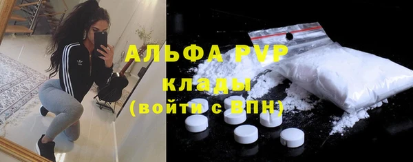 молекула духа Елизово
