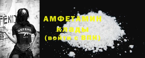 сатива Елабуга