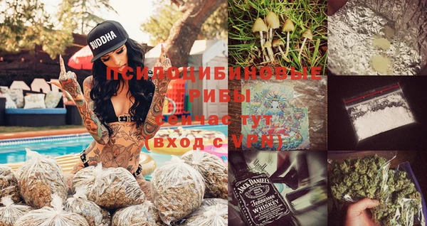 сатива Елабуга