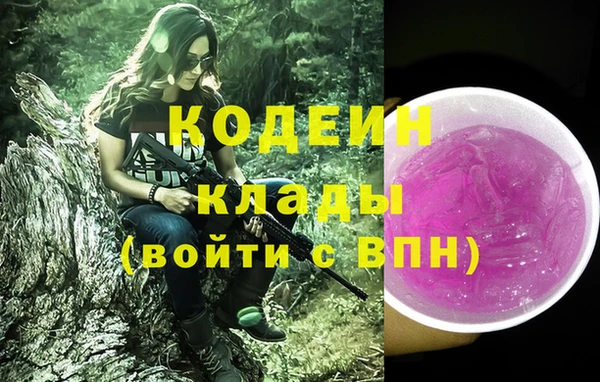 сатива Елабуга
