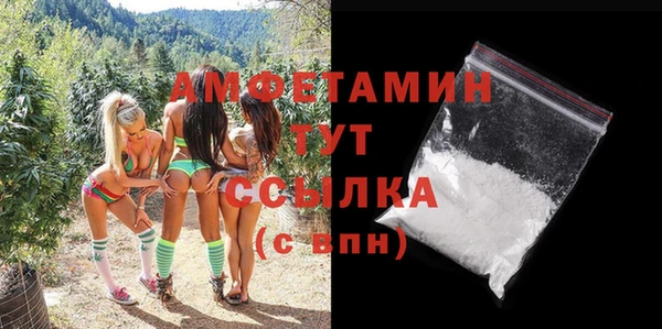 сатива Елабуга