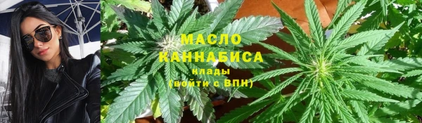 сатива Елабуга