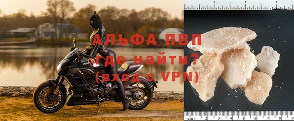 молекула духа Елизово