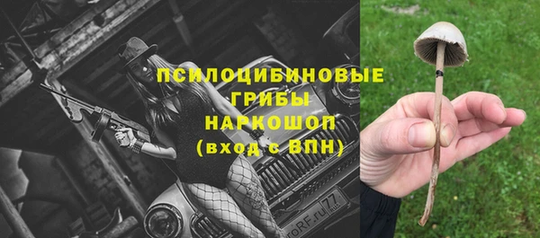 молекула духа Елизово