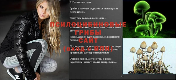 меф Ельня