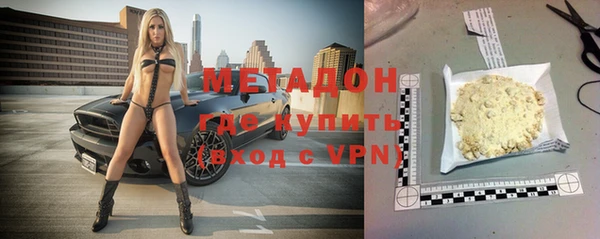 сатива Елабуга