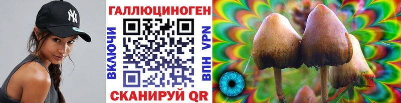 Галлюциногенные грибы Psilocybine cubensis  Купить  Киржач 